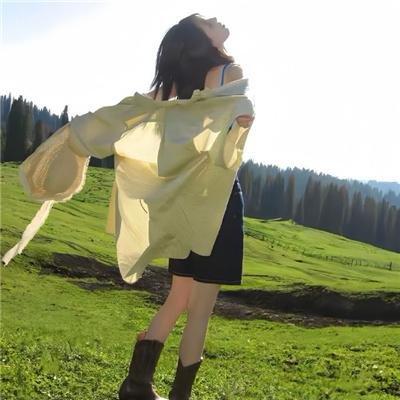 精灵宝可梦：比克提尼与黑之英雄捷克罗姆粤语